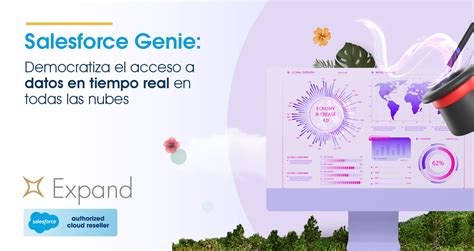 salesforce acceso.